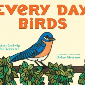 every day birds